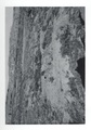 080316