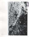 080589