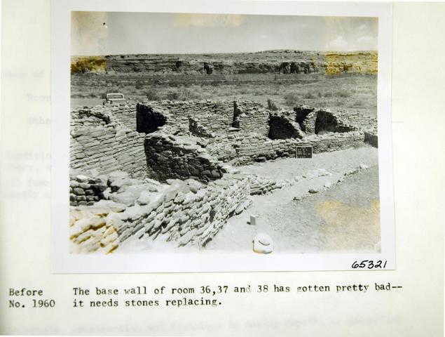 Vol_59_v59_058