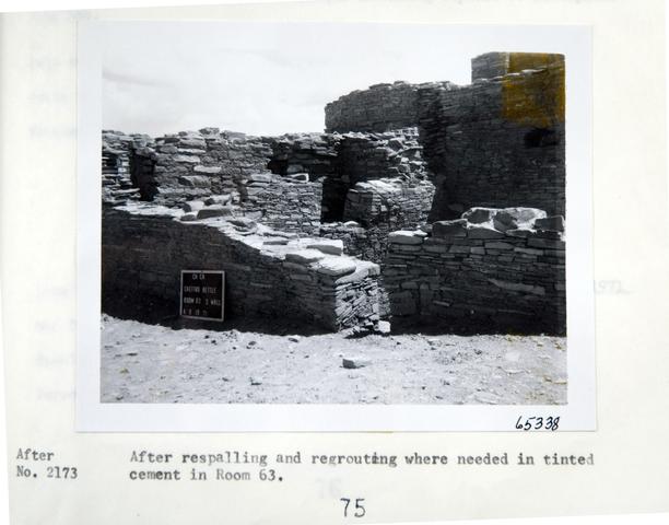 Vol_59_v59_102