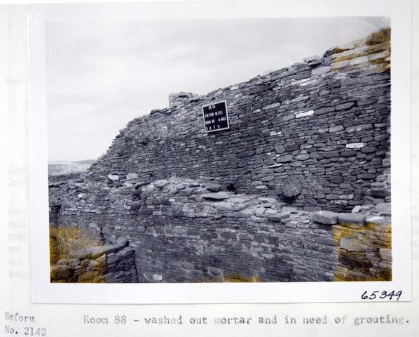 Vol_59_v59_119