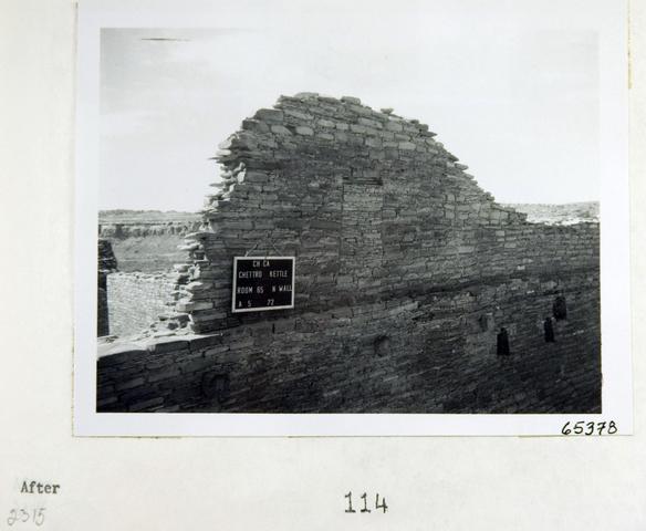 Vol_59_v59_161