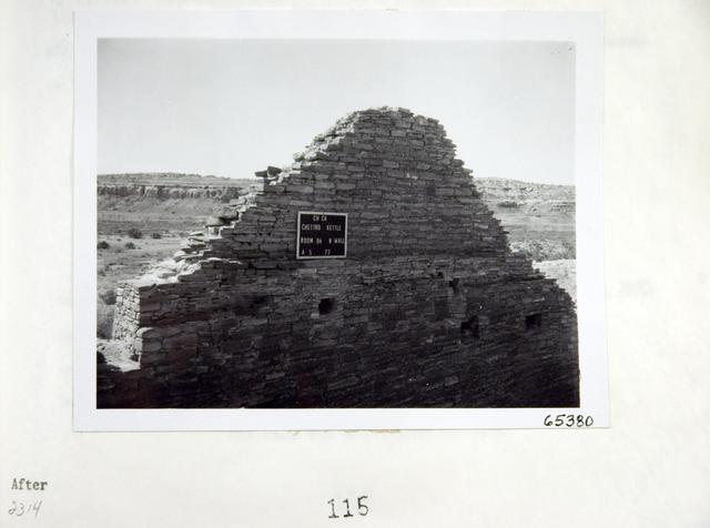 Vol_59_v59_163