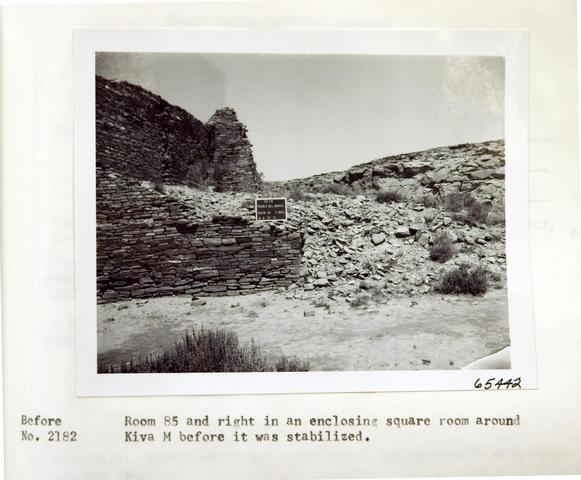 Vol_59_v59_251