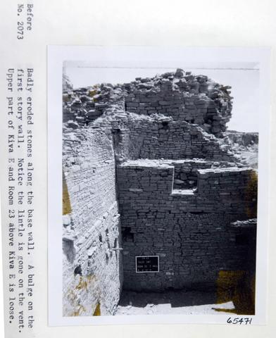 Vol_59_v59_298