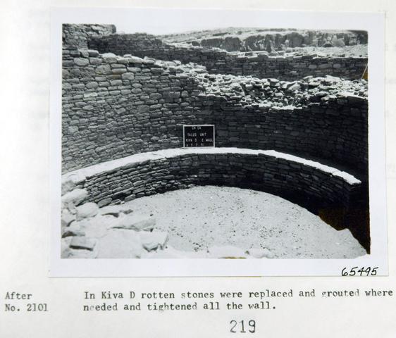 Vol_59_v59_329