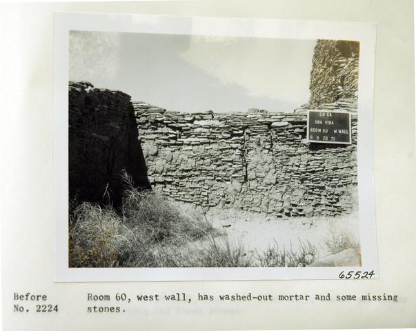 Vol_59_v59_364