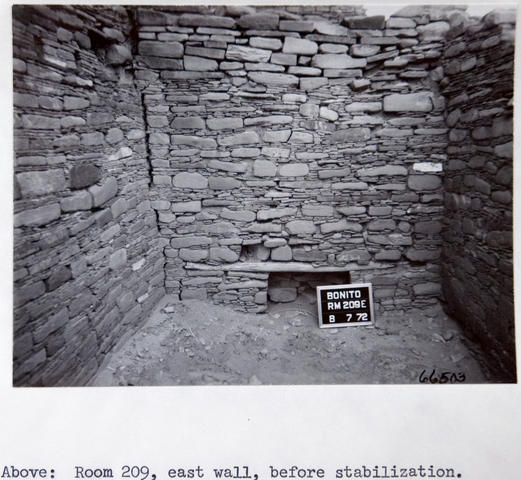 Vol_65_v65_345