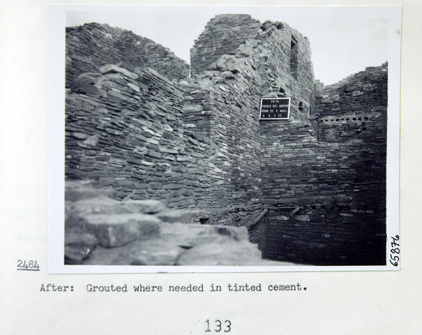 Vol_70_v70_203