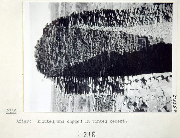 Vol_70_v70_325