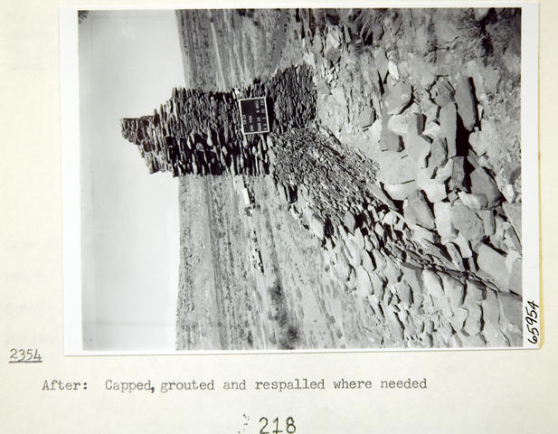 Vol_70_v70_328