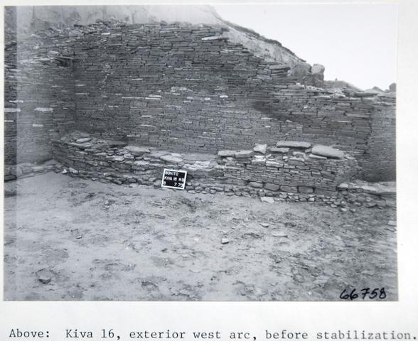 Vol_72_v72_163