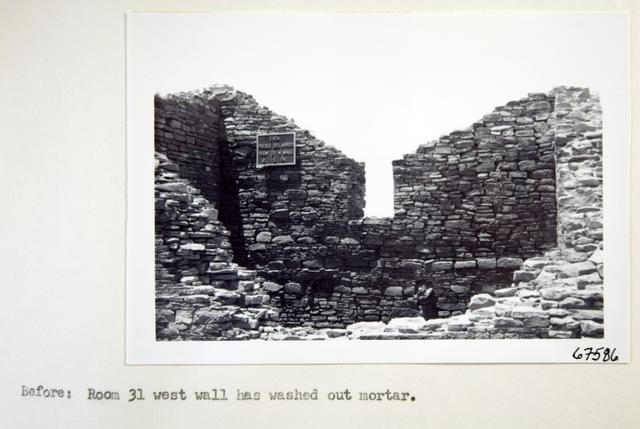 Vol_73_v73_116
