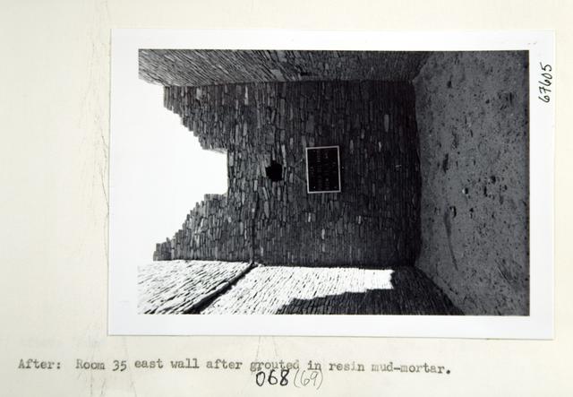 Vol_73_v73_141