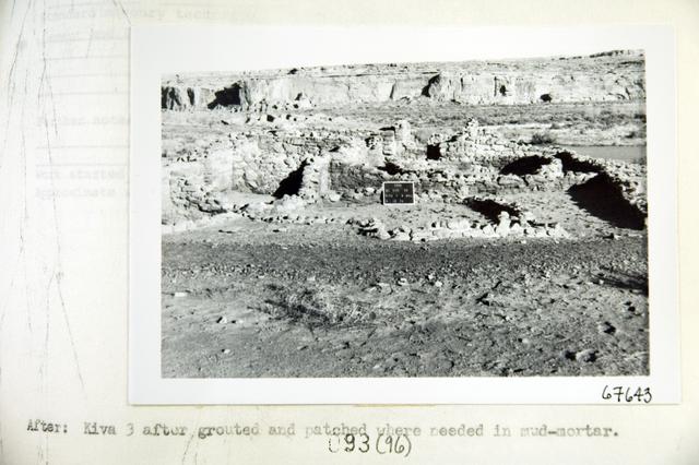 Vol_73_v73_194