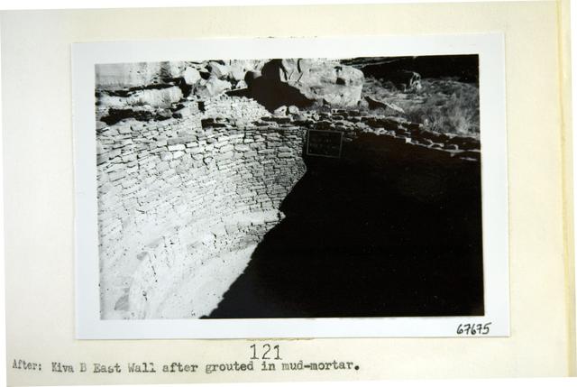 Vol_73_v73_245