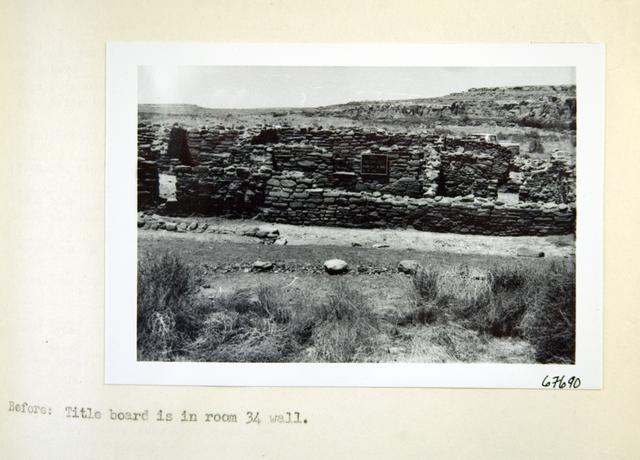 Vol_73_v73_301