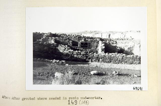 Vol_73_v73_302