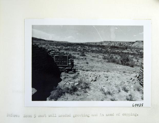 Vol_73_v73_386