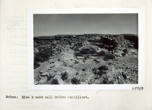 Vol_73_v73_426