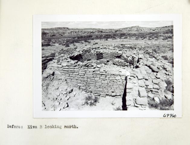 Vol_73_v73_430