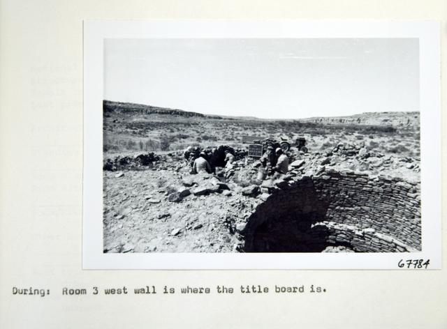 Vol_73_v73_463
