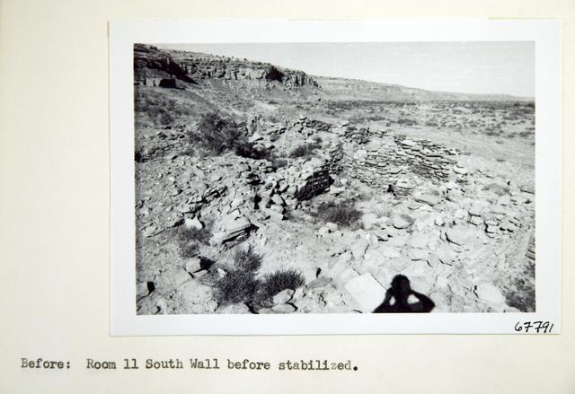 Vol_73_v73_478