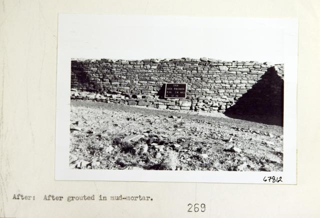 Vol_73_v73_545