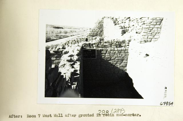 Vol_73_v73_604