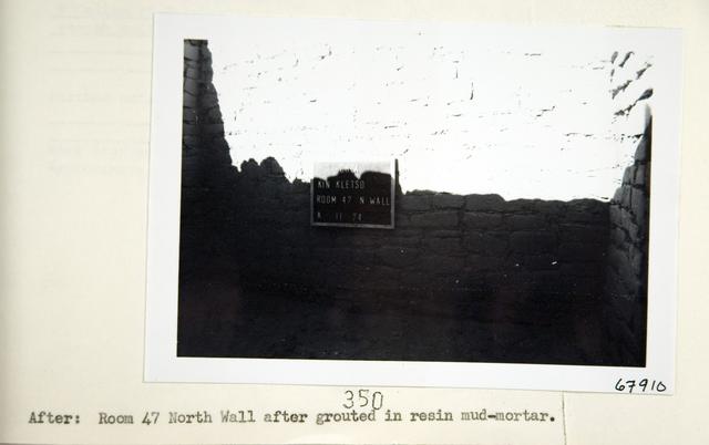 Vol_73_v73_710