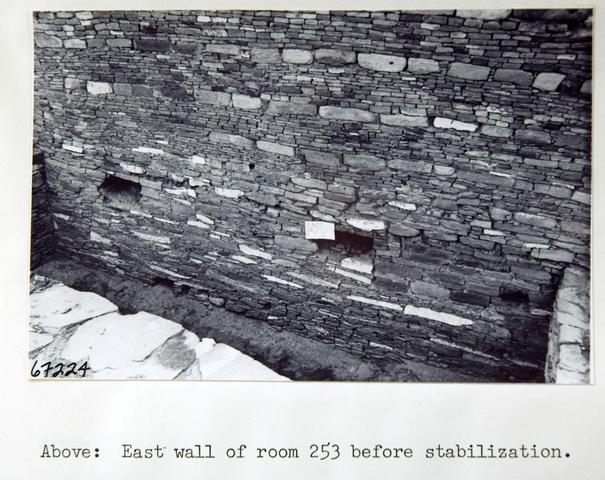 Vol_75_v75_306
