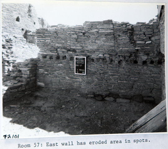 Vol_95_v95_060