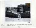 Vol_59_v59_102