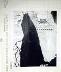 Vol_59_v59_125