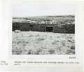 Vol_59_v59_153