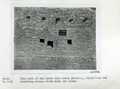Vol_59_v59_197