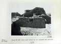 Vol_59_v59_228