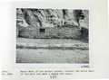 Vol_59_v59_275