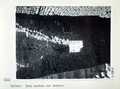 Vol_70_v70_077