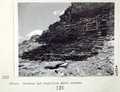 Vol_70_v70_291