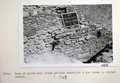 Vol_71_v71_087