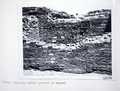Vol_71_v71_196-2