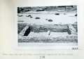 Vol_71_v71_217-2