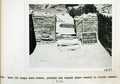 Vol_71_v71_230-2