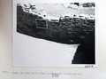 Vol_71_v71_294-2