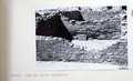 Vol_71_v71_311-2