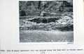 Vol_71_v71_348-2
