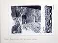 Vol_71_v71_359-2