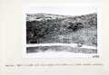 Vol_71_v71_454-2