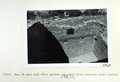 Vol_73_v73_159